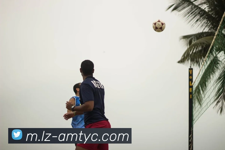 多媒体互动体验